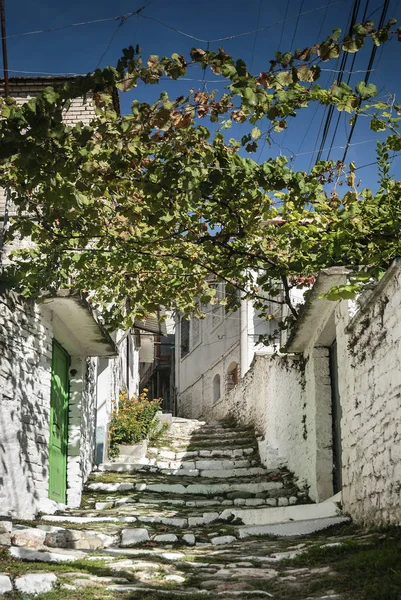 Berat Kent Arnavutluk Arnavut Kaldırımlı Sokakta — Stok fotoğraf