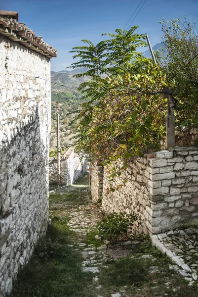 Berat Kent Arnavutluk Arnavut Kaldırımlı Sokakta — Stok fotoğraf