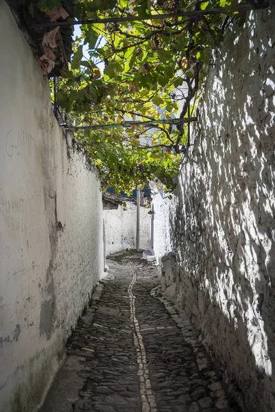 Kullerstensgata Berat Gamla Staden Albanien — Stockfoto