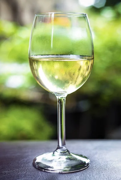 法国花园外的有机白霞酒玻璃 — 图库照片