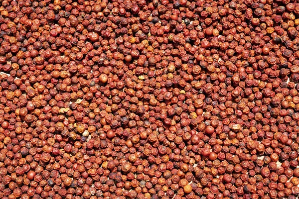 Asiático rojo peppercorns secado en el sol —  Fotos de Stock
