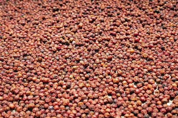 Азіатські червоні перці сушать на сонці — стокове фото