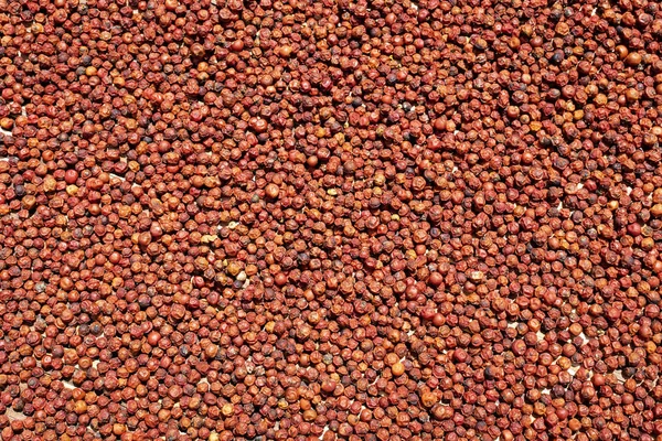 Asiático rojo peppercorns secado en el sol — Foto de Stock