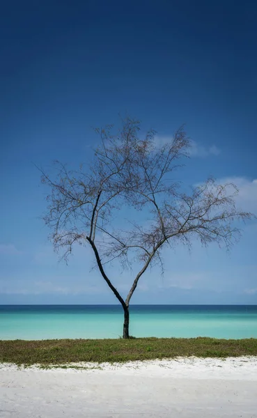 उष्णकटिबंधीय स्वर्ग में लंबी समुद्र तट कोह रोंग द्वीप कंबोडिया — स्टॉक फ़ोटो, इमेज