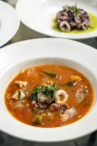 Sopa de calamares y mariscos en salsa picante de tomate y verduras — Foto de Stock