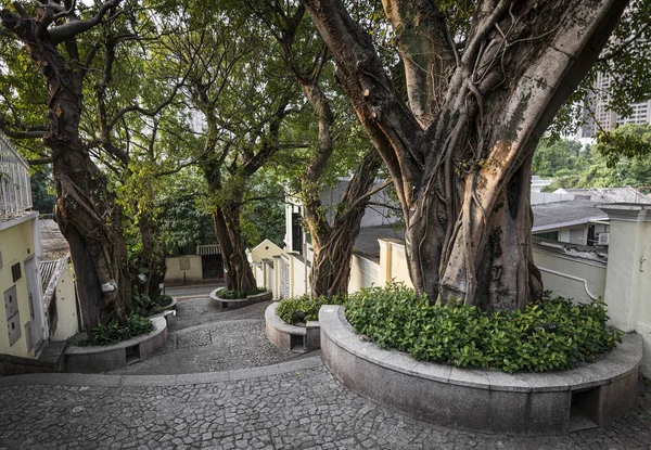 Calcada do Carmo portugalski kolonialny Alleyway w starym Taipa Macau — Zdjęcie stockowe
