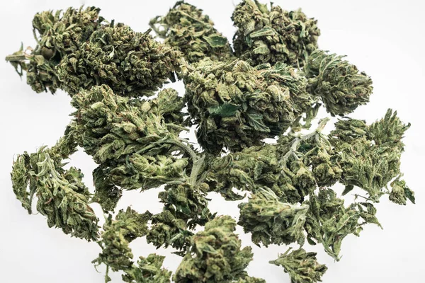 Uns Medizinische Marihuana Knospen Nahaufnahme Auf Weißem Studiohintergrund Kalifornien — Stockfoto