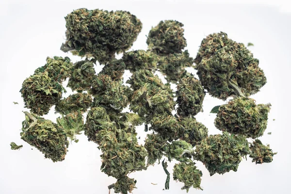 Uns Medizinische Marihuana Knospen Nahaufnahme Auf Weißem Studiohintergrund Kalifornien — Stockfoto