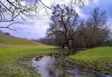 Nehir ve ağaçlarla kaplı bahar manzarası