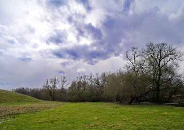 Nehir ve ağaçlarla kaplı bahar manzarası