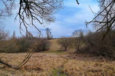 Nehir ve ağaçlarla kaplı bahar manzarası