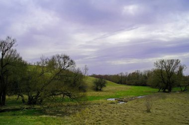 Nehir ve ağaçlarla kaplı bahar manzarası