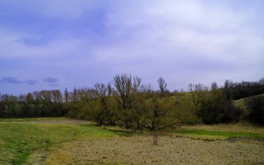 Nehir ve ağaçlarla kaplı bahar manzarası