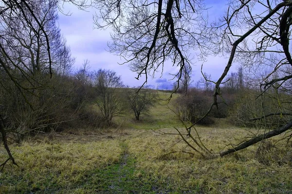 Lentelandschap Met Rivier Bomen — Stockfoto