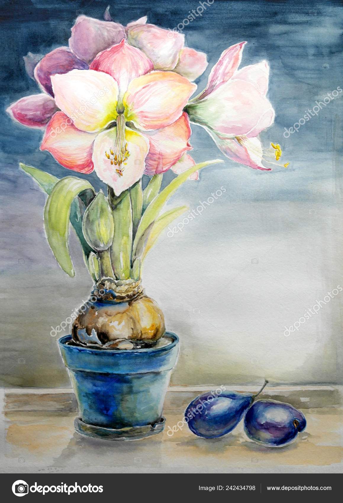 Watercolor Paintings Still Life Flowers Vase Fine Art Stock
