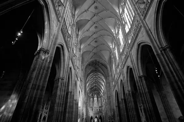 プラハの聖ヴィート大聖堂の美しいインテリアの黒と白の写真 — ストック写真