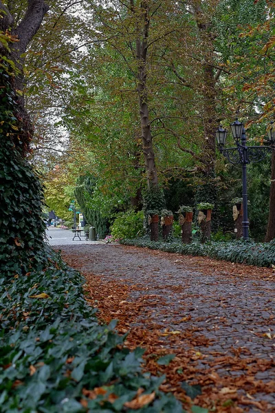 Main walkway of Botanical garden in Europe in autumn. — Stock Photo, Image