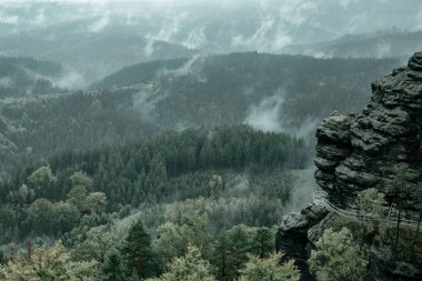 (Bohem İsviçre veya Ceske Svycarsko) Çek İsviçre Ulusal Parkı. Yenilikçi retro vintage tarzı ormanda köknar, puslu yatay