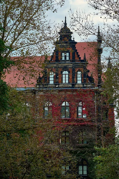Byggnad av The National Museum i Wroclaw, Polen, omfattas i underbara murgröna, ritad av arkitekt Karl Friedrich Endell och uppfördes 1883-1886. — Stockfoto