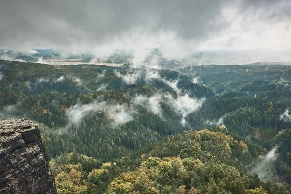 Sandsten rock torn i dalen djupt höst av nationalparken böhmiska Schweiz — Stockfoto