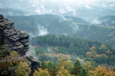 (Bohem İsviçre veya Ceske Svycarsko) Çek İsviçre Ulusal Parkı. Köknar orman puslu, yatay