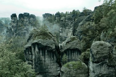 Rocky mountain view sonbahar mevsiminde. Sisli gün doğarken Bastei, Sakson İsviçre, Almanya. Yenilikçi retro vintage tarzı ormanda köknar, puslu yatay