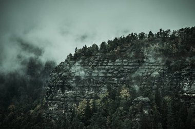 Sonbahar renkleri kum kayalık montains çek Sakson İsviçre, Deadpan Karanlık sisli yağmurlu sabah yatay