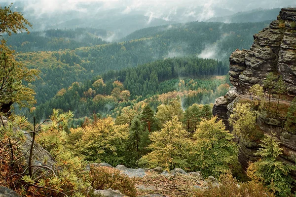 Tjeckiska Schweiz (böhmiska Schweiz eller Ceske Svycarsko) nationalpark. Dimmiga landskap med fir skog — Stockfoto