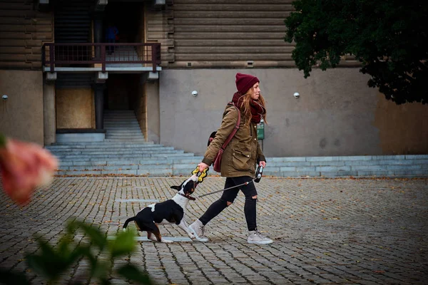 Glückliches Hipstermädchen, das mit ihrem Welpen in der Stadt spielt. Modernes Jugendstilkonzept — Stockfoto