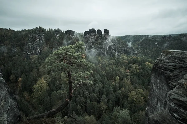 Gravallvarligt mörka dimmiga dimma bergen från synvinkel Bastei i Sächsische Schweiz, Tyskland till bergen vid soluppgången i morgondimman, nationalparken saxiska Schweiz — Stockfoto