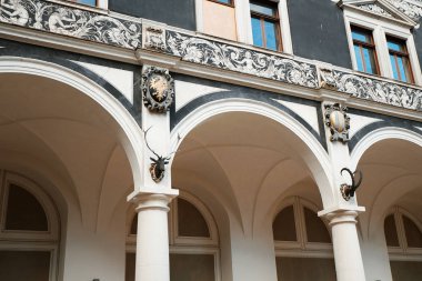 Almanya'nın Saksonya Dresden Zwinger çeşmeler