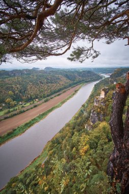 Gündoğumu sabah sis, Sakson İsviçre Ulusal Parkı, Sakson İsviçre Bastei, Almanya açısından Karanlık sisli sis dağlara dağlara portresinden