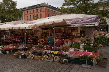 Münih, Almanya, 15 Eylül 2018: Münih çiçek pazarı, parlak renkli çiçek