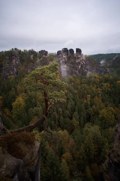 朝の霧は、ザクセン ・ スイスの国立公園で日の出山バスタイ Saxon スイス連邦共和国、ドイツの視点から霧の霧山 — ストック写真