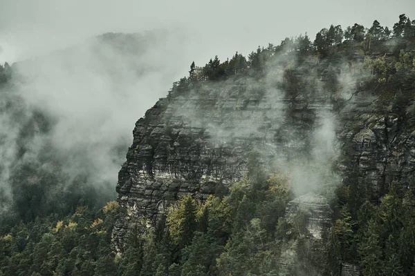 Dimmiga regnig morgon landskap med den sand rocky montains i bohemiska Sächsische Schweiz i höstfärger — Stockfoto