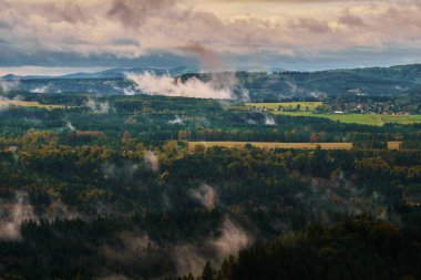 Sisli manzara. Sisli puslu sabah gündoğumu bohem İsviçre vadi Park ile. Orman, Çek Cumhuriyeti, güzel Milli Parkı bohem İsviçre manzara detay