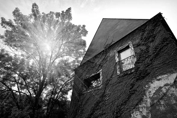 Bela casa com vista para a árvore na rua Uvoz da Cidade Velha Praga, perto de vinhedo em uma colina em Praga, República Checa. Preto e branco — Fotografia de Stock