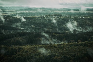 Sonbahar renkleri kum kayalık montains çek Sakson İsviçre, Deadpan Karanlık sisli yağmurlu sabah yatay