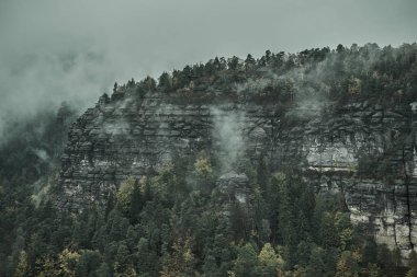 Puslu yağmurlu sabah yatay, bohem Sakson İsviçre kum kayalık montains sonbahar renkleri