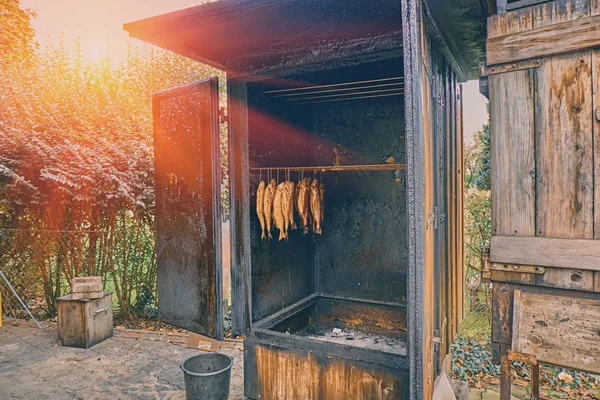 Traditionelle norwegische Lachsräucherung im Landrestaurant in den Bergen. Räucherlachs-Fisch im offenen Holzkamin lizenzfreie Stockbilder