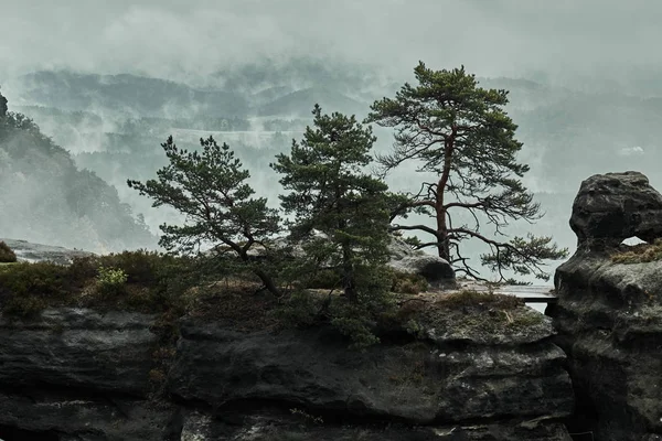Dimmiga dimmigt landskap av Pravcicka utfärda utegångsförbud för (Pravcicka brana) den största naturlig sandstenen arch i Europa i Tjeckien Schweiz (böhmiska Schweiz eller Ceske Svycarsko) National Park — Stockfoto