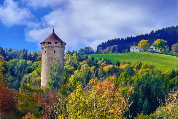 Torre velha do castelo medieval em uma colina na floresta em Europa em um dia ensolarado brilhante — Fotografia de Stock