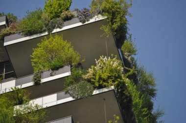 Milan, İtalya - Nisan 2018 yaklaşık: Bosco (dikey orman anlamına gelir Verticale adlı gökdelen)