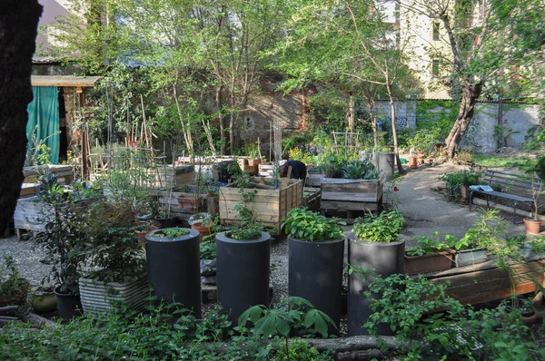 Milan Italy Circa April 2018 Urban Vegetables Garden — Stock Photo, Image