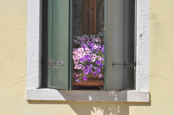带一壶鲜花的旧木窗 — 图库照片