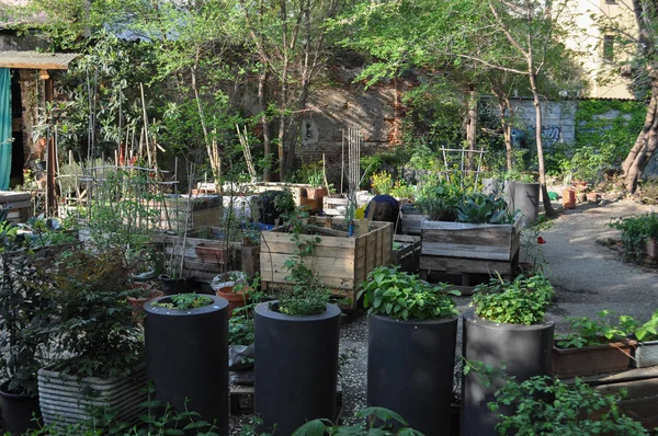 Milan Italy Circa April 2018 Urban Vegetables Garden — Stock Photo, Image