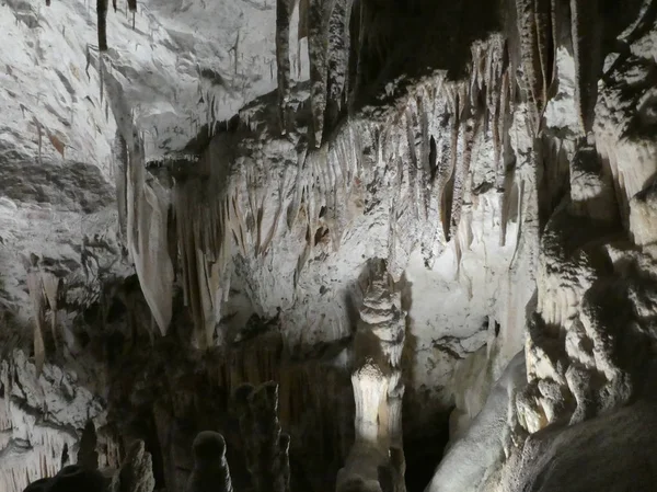 Karst Rivier Van Grot Van Sloveense Gemeente Pivka Postojna Slovenië — Stockfoto