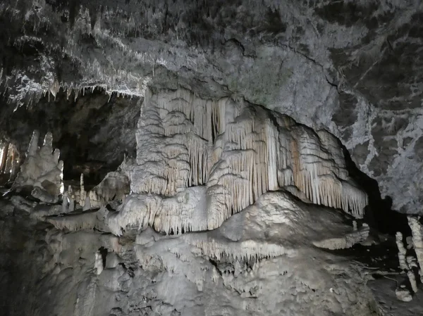 Karstik Mağarası Nın Pivka Nehir Postojna Slovenya — Stok fotoğraf