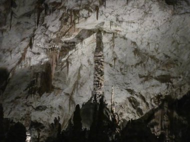 Karstik Mağarası nın Pivka nehir Postojna, Slovenya