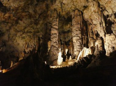 Karstik Mağarası nın Pivka nehir Postojna, Slovenya